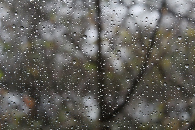 Fotografía de un día lluvioso