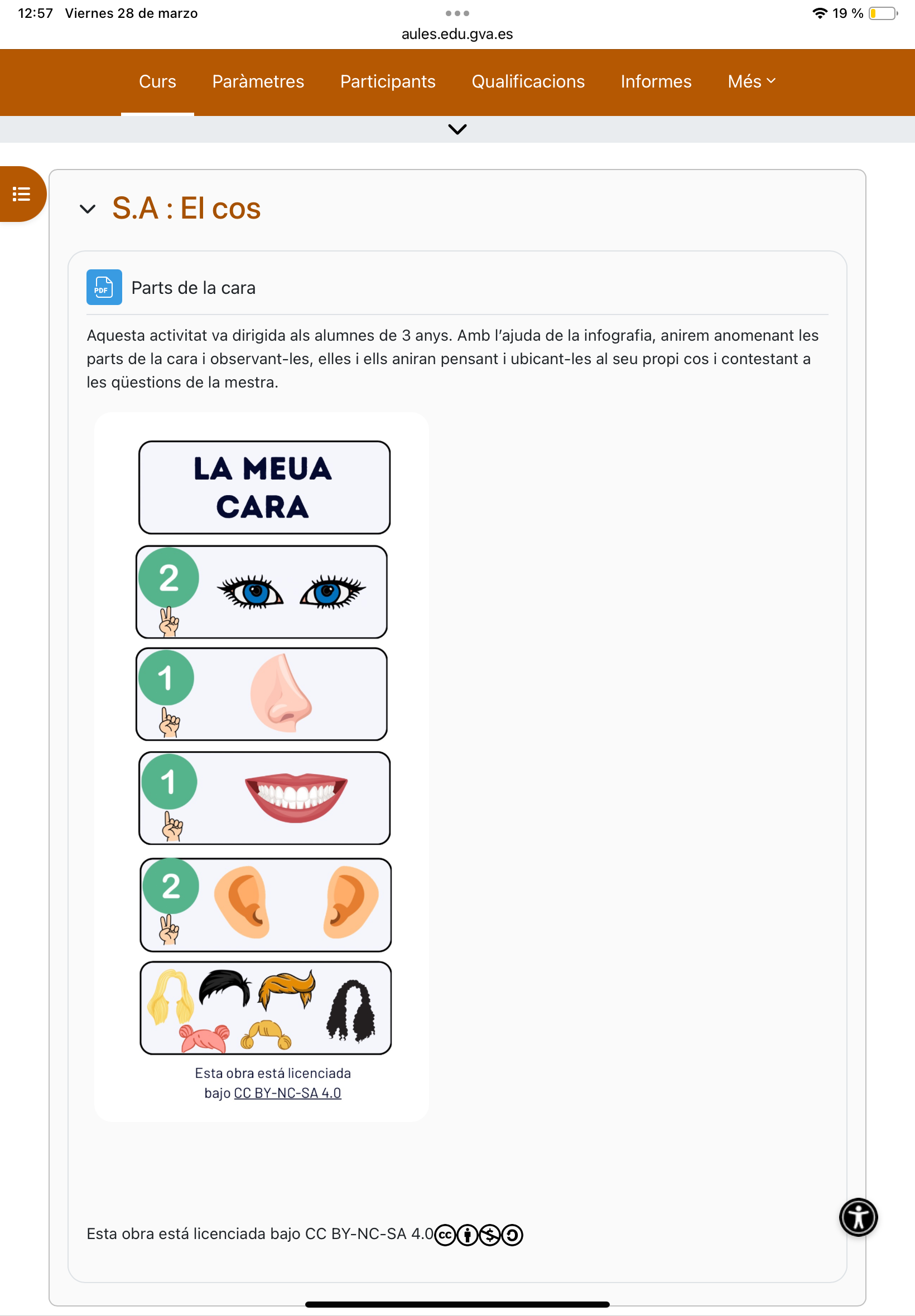 S.A El cos: parts de la cara