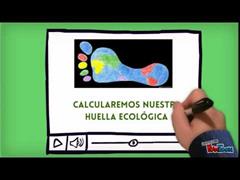 Resumen visual del proyecto