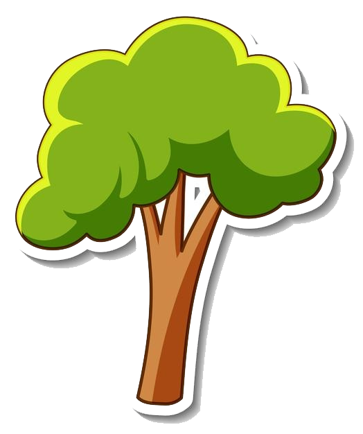 ´Árbol