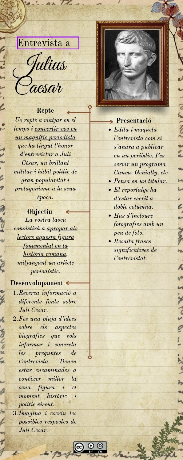 Descripció activitat