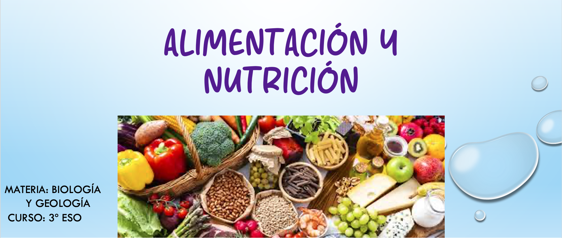 alimentos de diferentes grupos