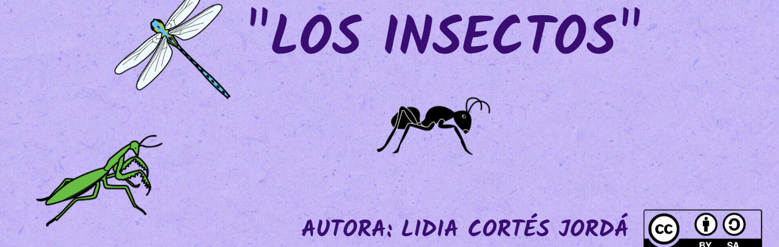 Imagen REA sobre los insectos