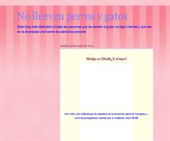 No llueven perros y gatos