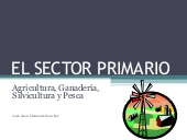 Sector Primario Español