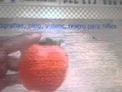 Presentación de mi prototipo de proyecto