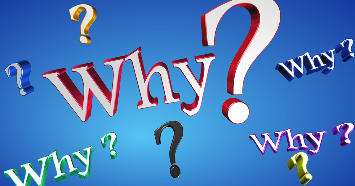 EN CLASE NO HAY PREGUNTAS ESTÚPIDAS