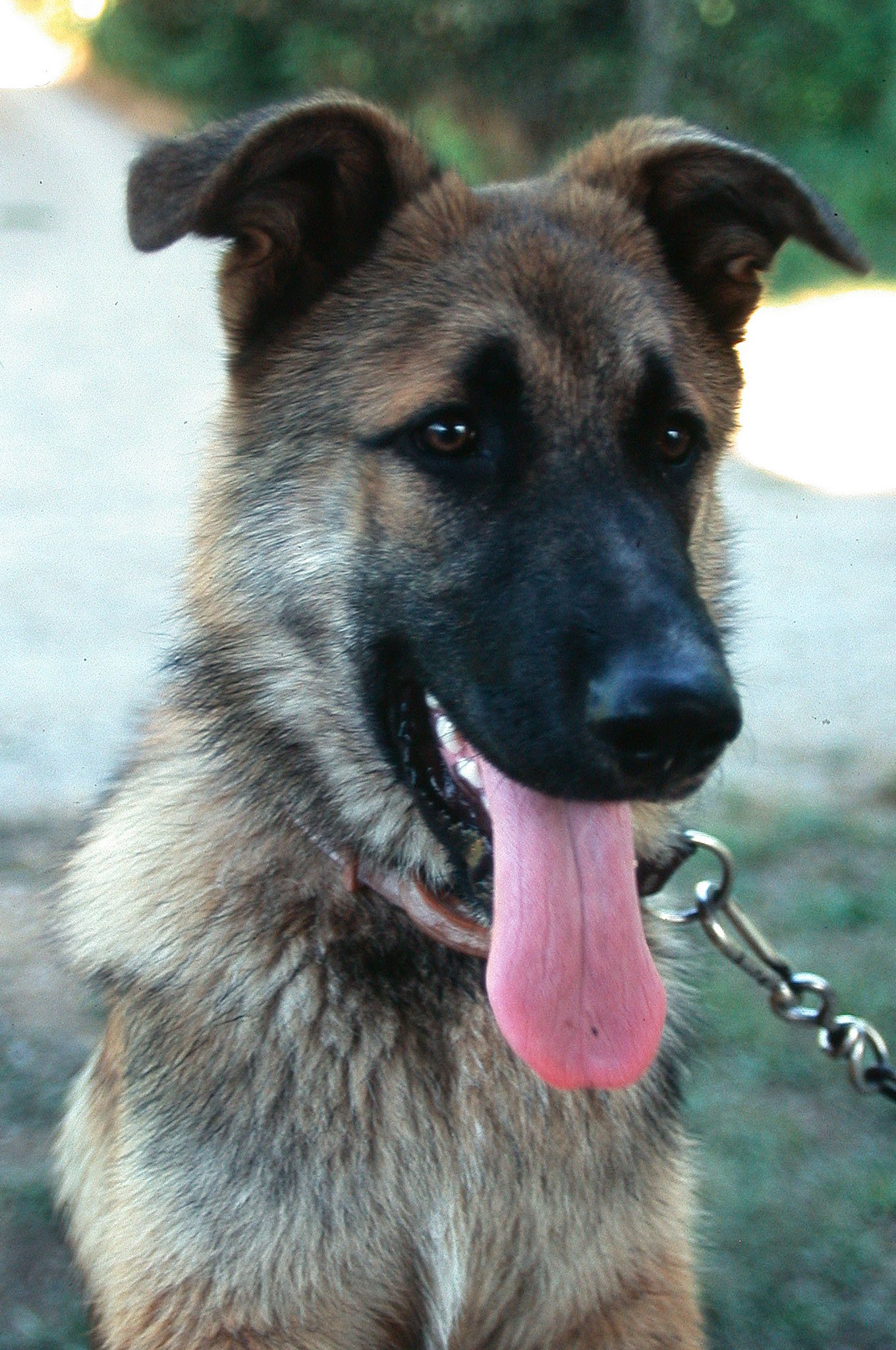 Mi Proyecto Final ML y RA