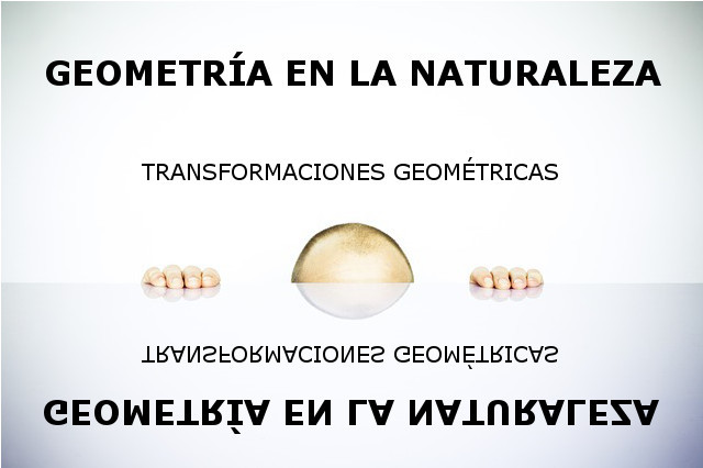 GEOMETRÍA EN LA NATURALEZA