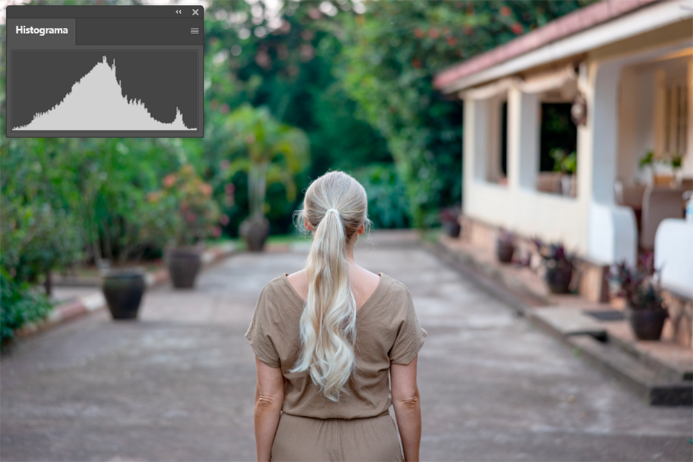 Captura de pantalla. Imatge fotográfica equilibrada i el seu histograma.