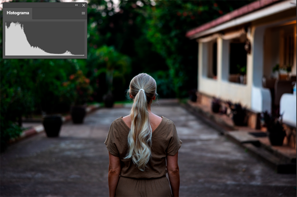 Captura de pantalla. Imatge fotográfica subexposada i el seu histograma.