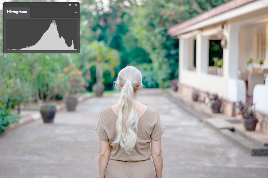 Captura de pantalla. Imatge fotográfica sobreexposada i el seu histograma.