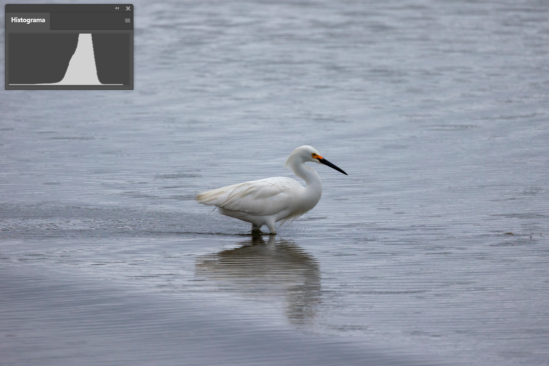 Captura de pantalla. Imatge fotográfica amb rang dinàmic curt i el seu histograma.