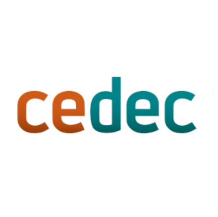 users photo CEDEC