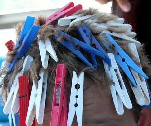 users photo M. Sagrario