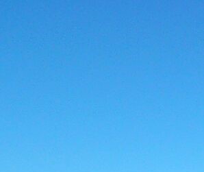 users photo Félix Ángel