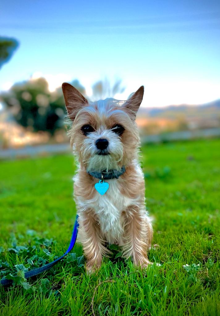 users photo Patricia