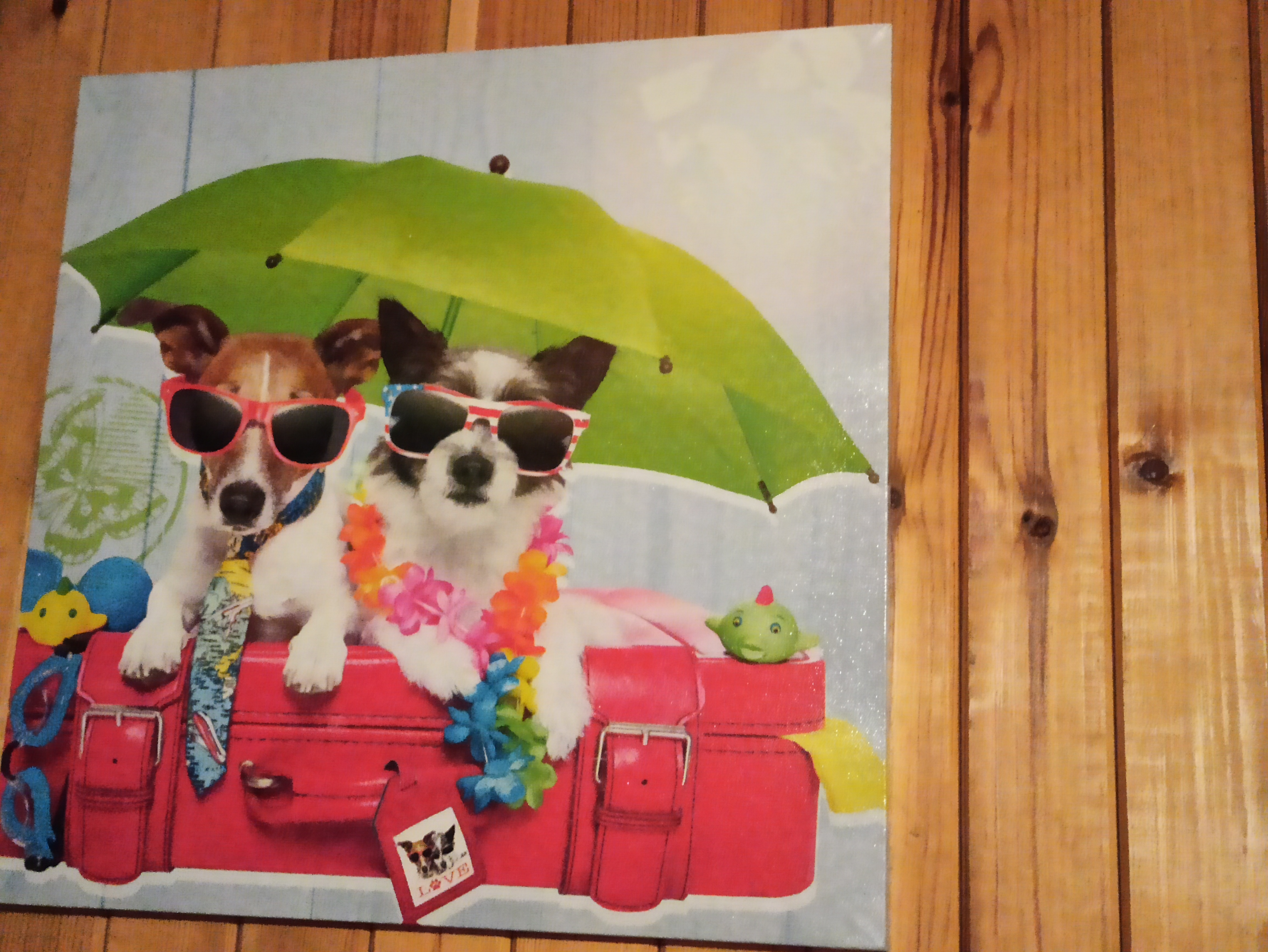 users photo MARIA JOSE