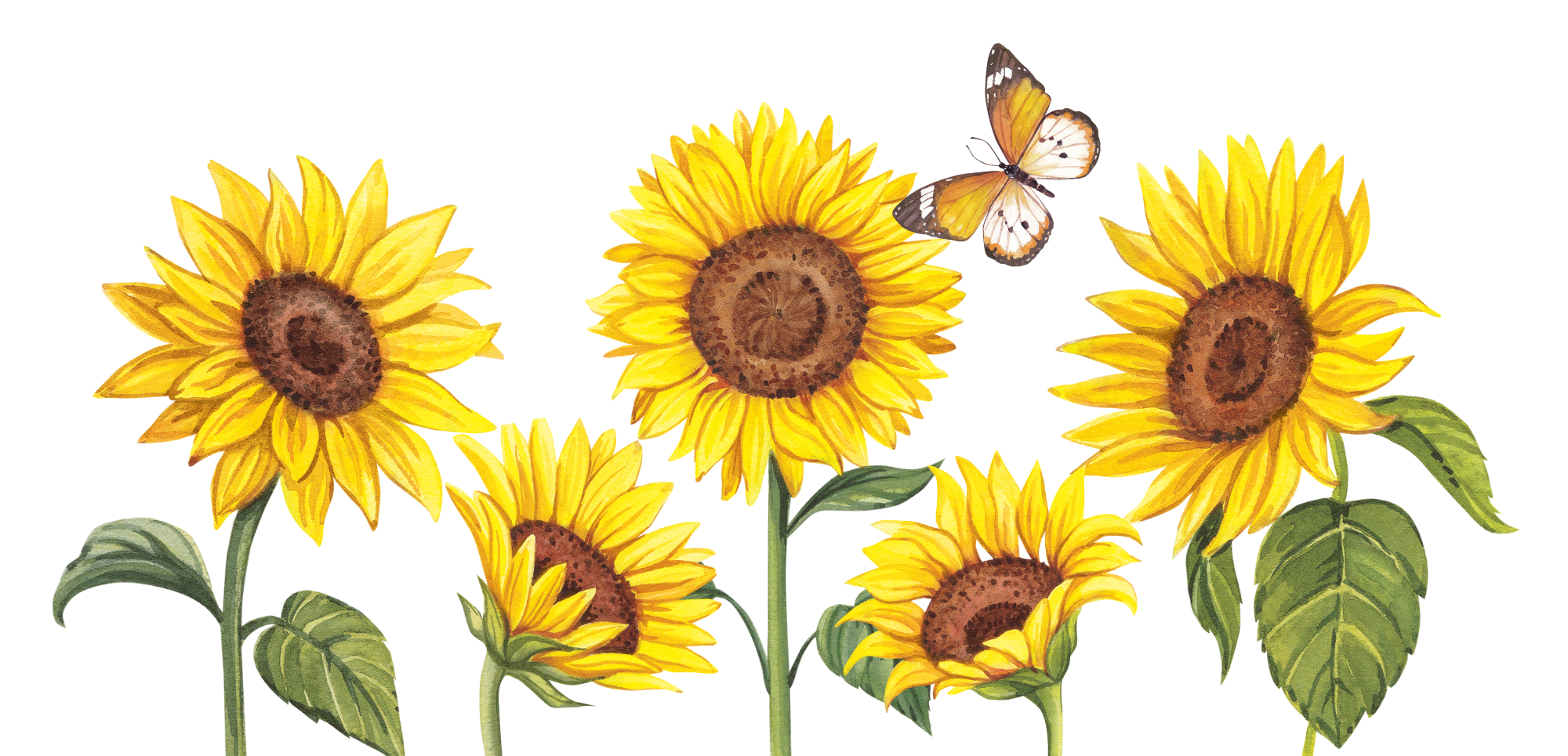 users photo Jennifer