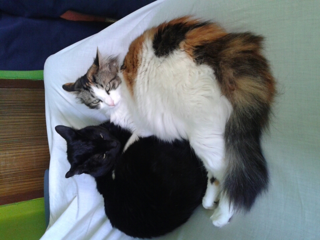 users photo MARIA DOLORES