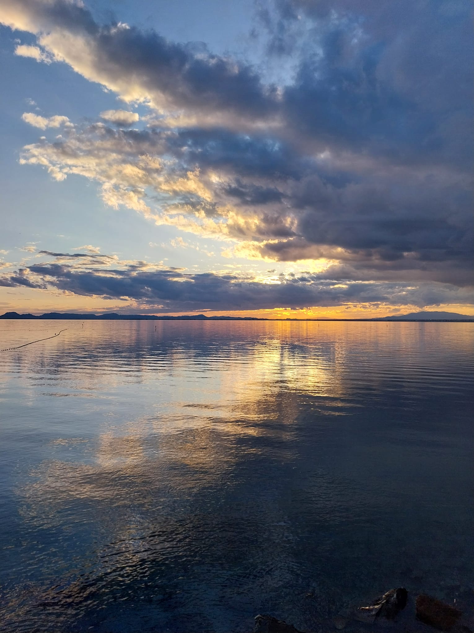 users photo María Carmen