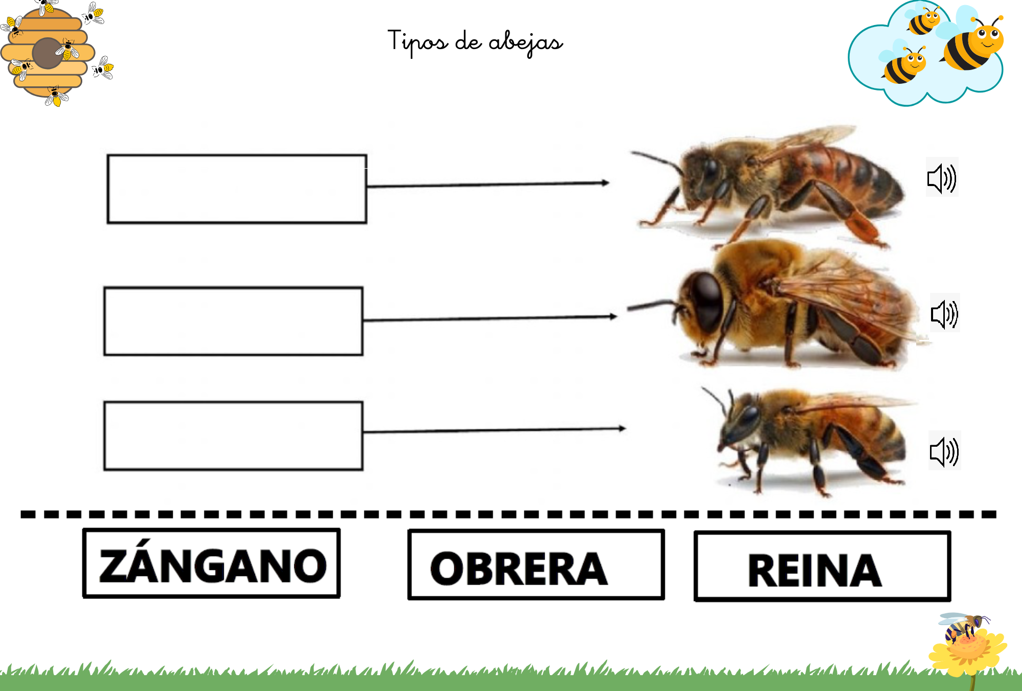 users photo OLIVIA MARÍA