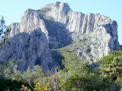 users photo Irene Adoración