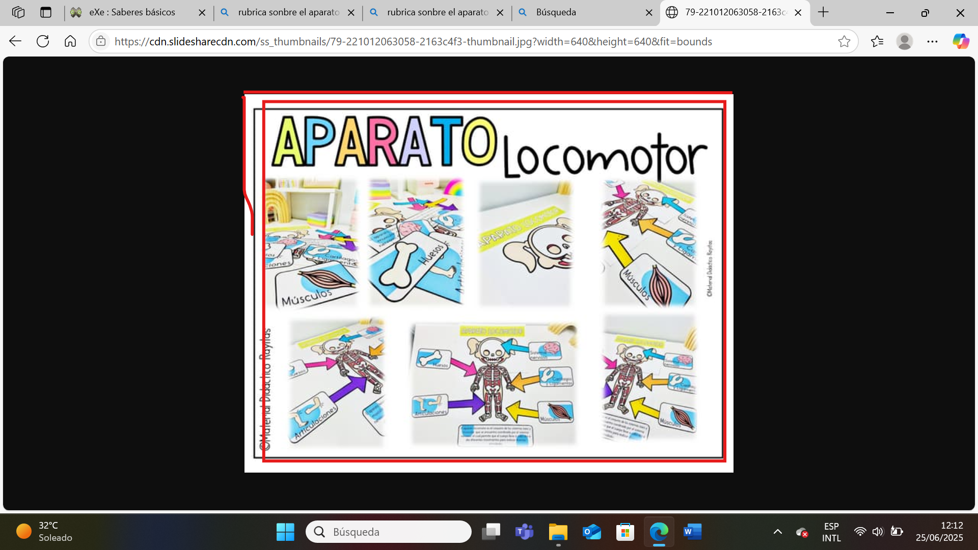 users photo María Dolores