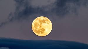 users photo José Joaquín