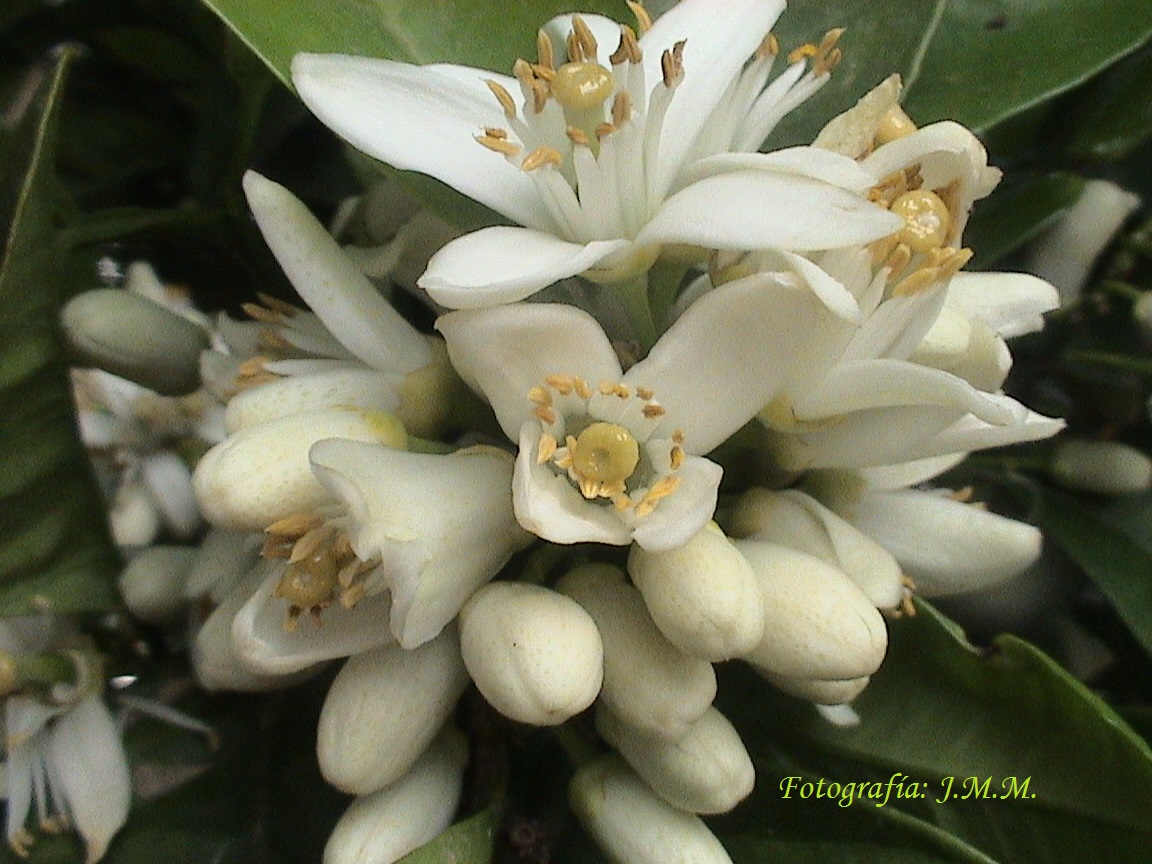 users photo José Manuel