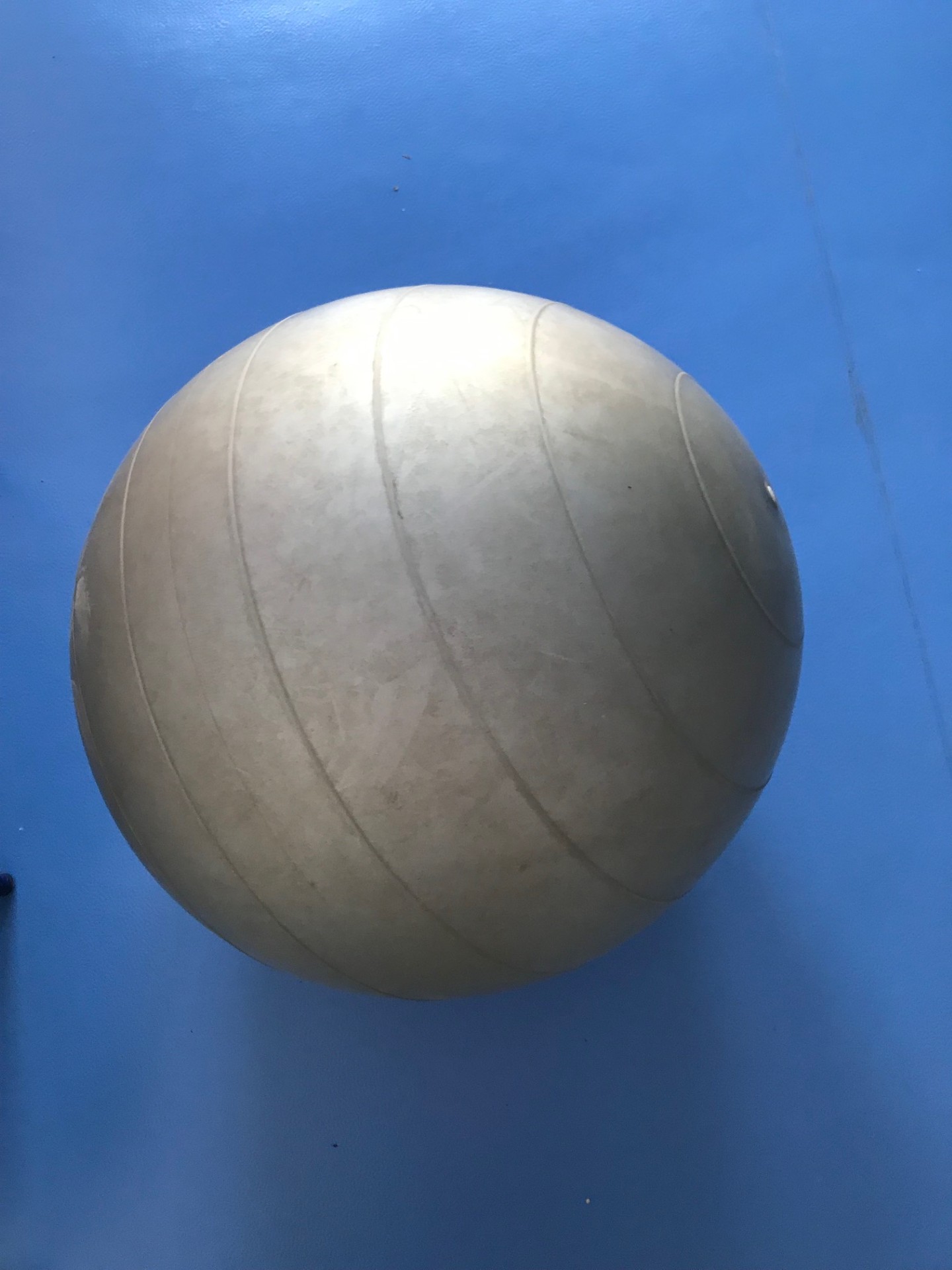 users photo Purificación