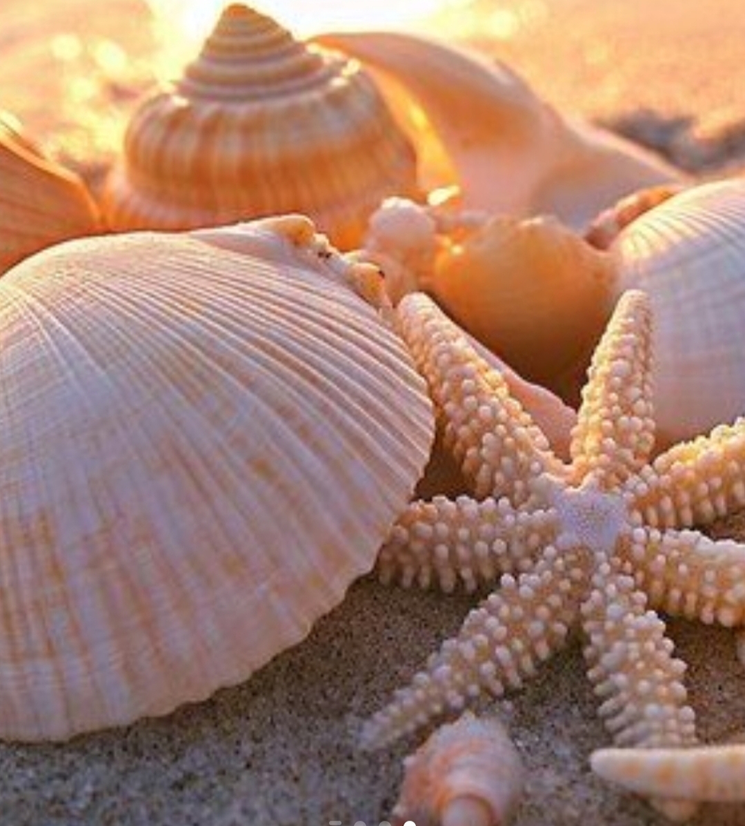 users photo Concepción Mercedes 