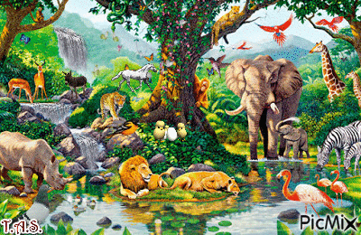 users photo MARICELA