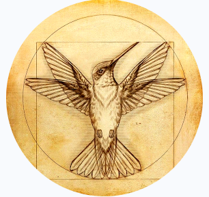 users photo Maria José 