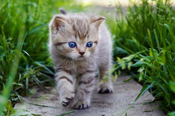 users photo Yudy Andrea