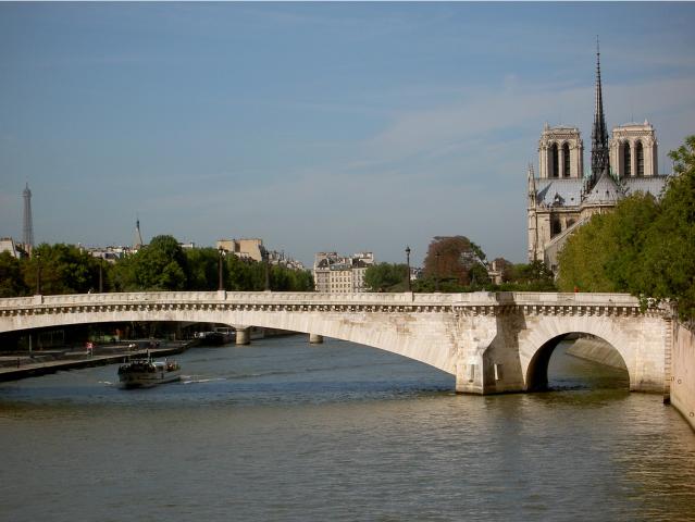 image Puente de la Tournelle