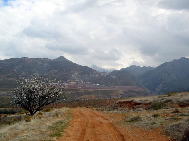 image Vista de Sierra Nevada desde Dilar
