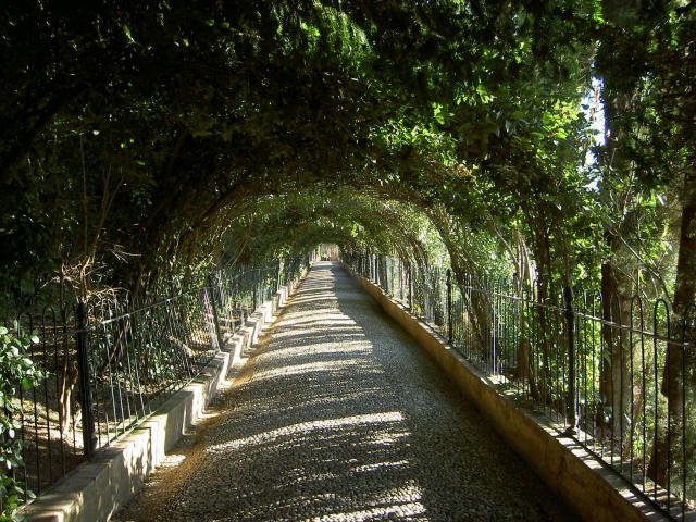 image Paseo de las adelfas en los Jardines del Generalife (Granada)