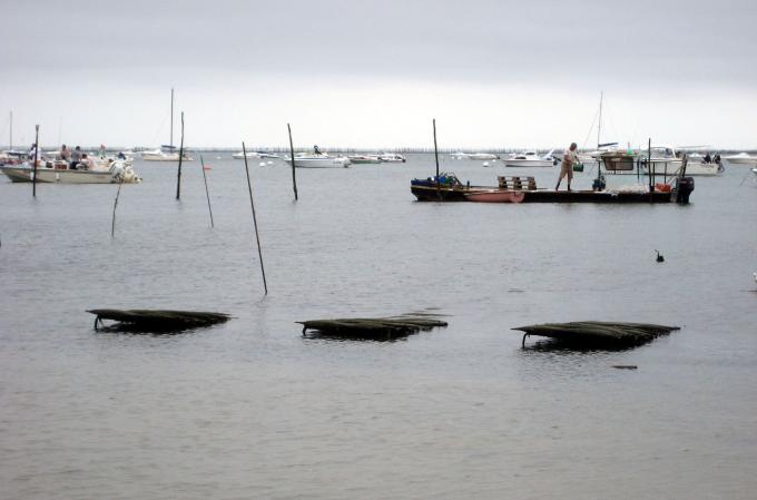 image Ostricultura en Arcachón (Francia)