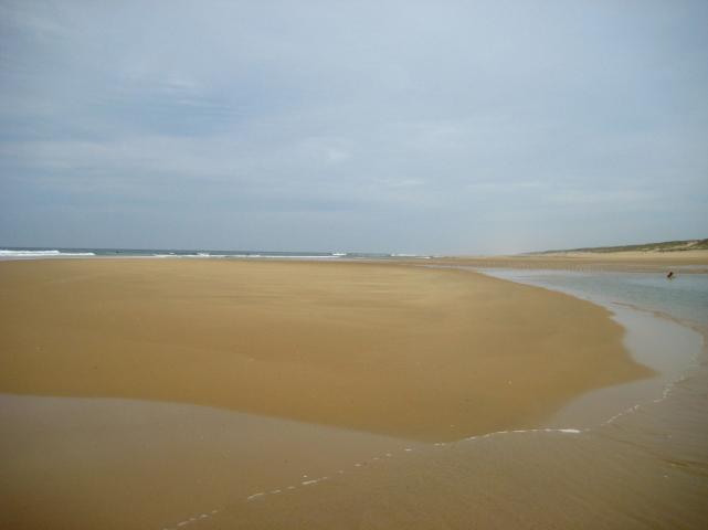 image Playa del cabo Ferret (Francia)