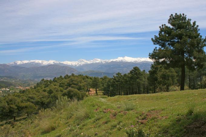 image Vereda de los Alayos, Granada