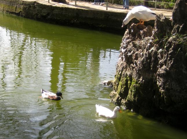 image Carmen de los Mártires, Granada (España)