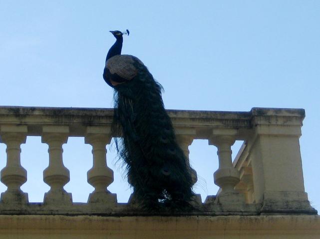 image Carmen de los Mártires, Granada (España)