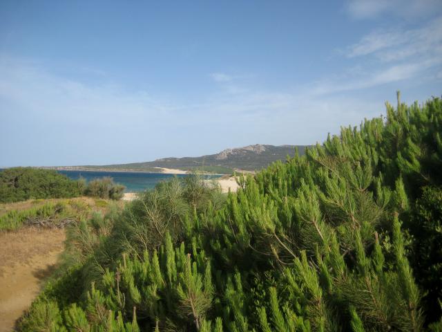 image Playa de Bolonia, Cádiz (España)