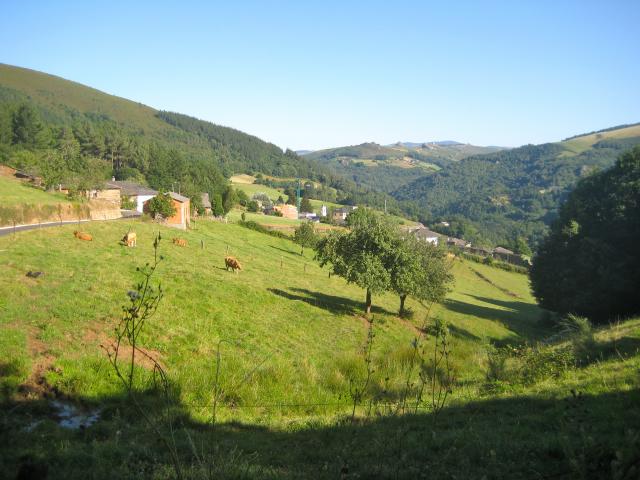 image Campo de Asturias