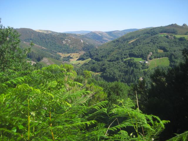 image Campo de Asturias