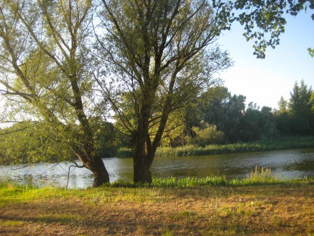 image Río Duero, Zamora (España)