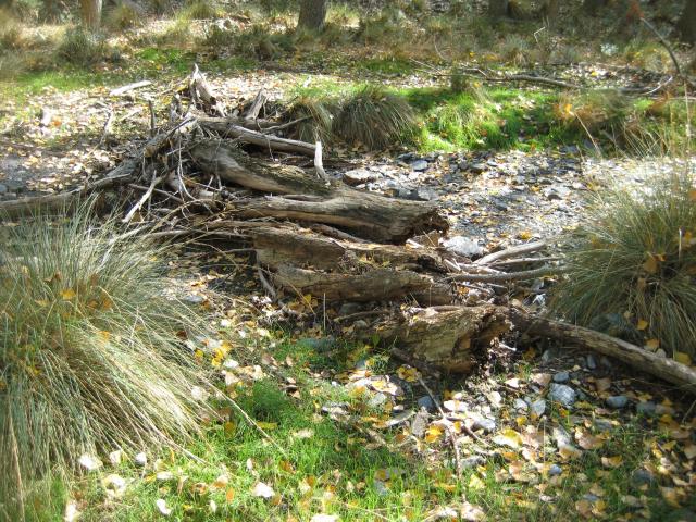 image Naturaleza de las Alpujarras