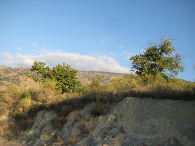image Las Alpujarras