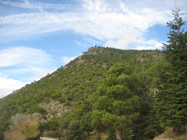 image Vegetación de bosque mediterráneo